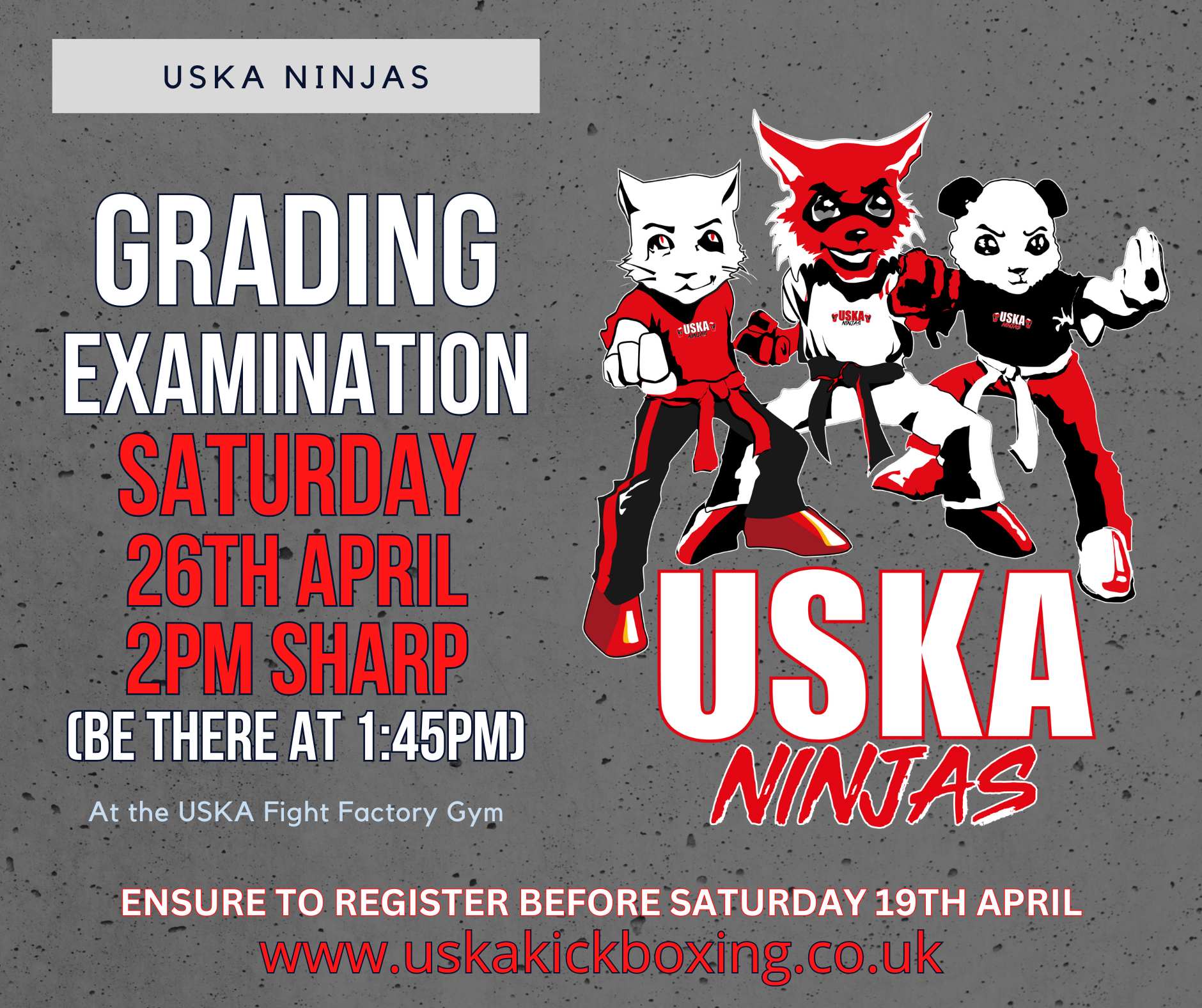 USKA Ninja's April Grading