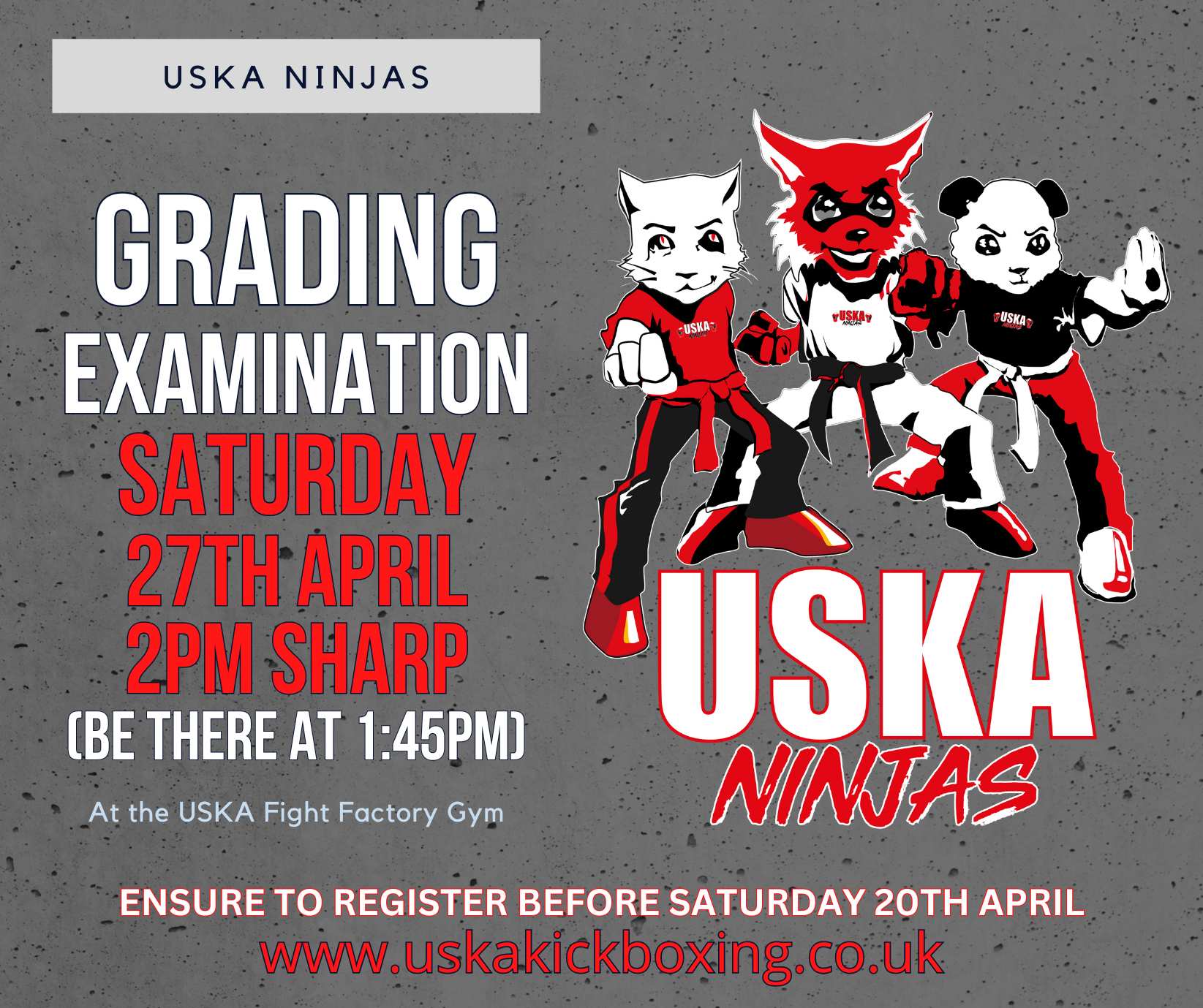 USKA Ninjas April Grading