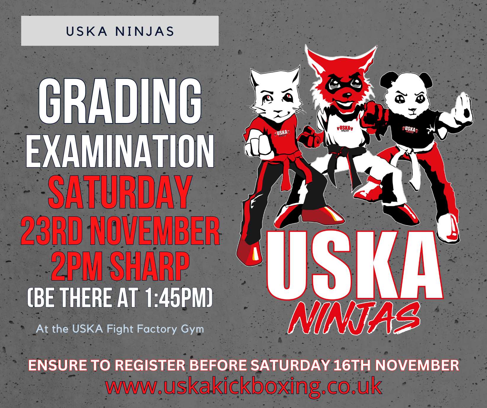 USKA Ninjas November Grading