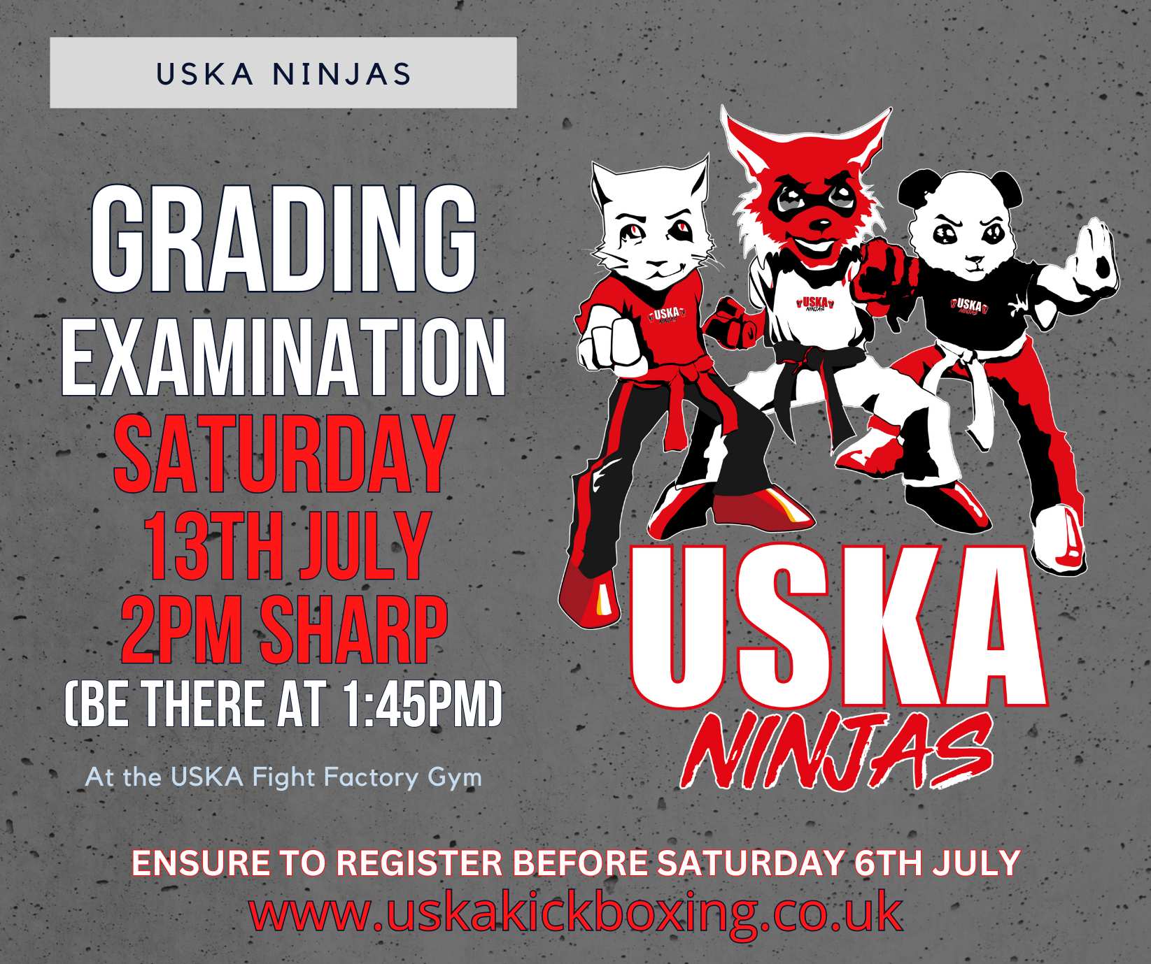 USKA Ninjas July Grading