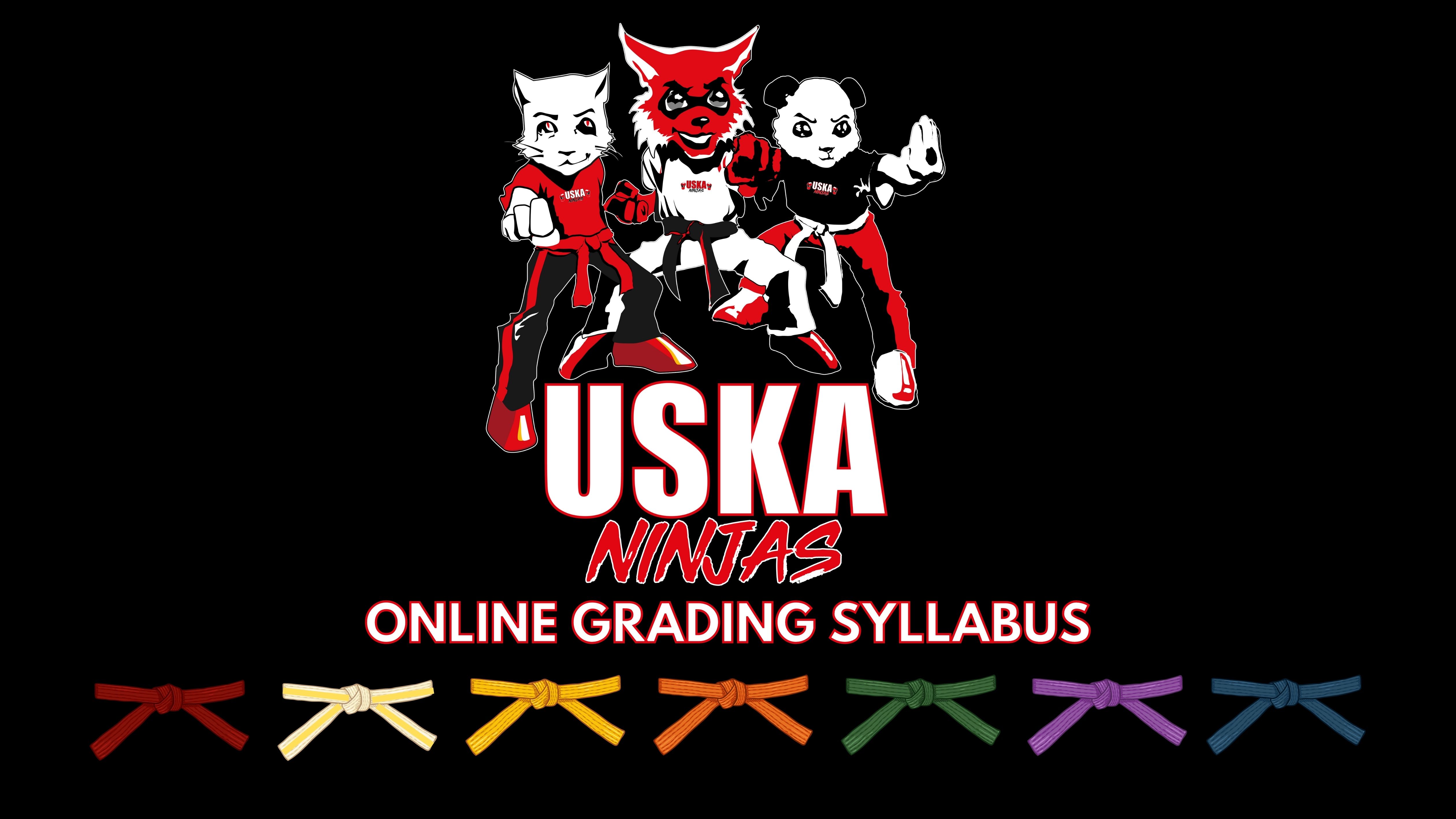 18-04-23 - USKA Ninjas Syllabus video's now complete on our members App
