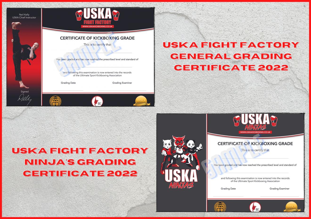 10-06-22 - Coming Soon... New Look Grading Certificates for 2022!